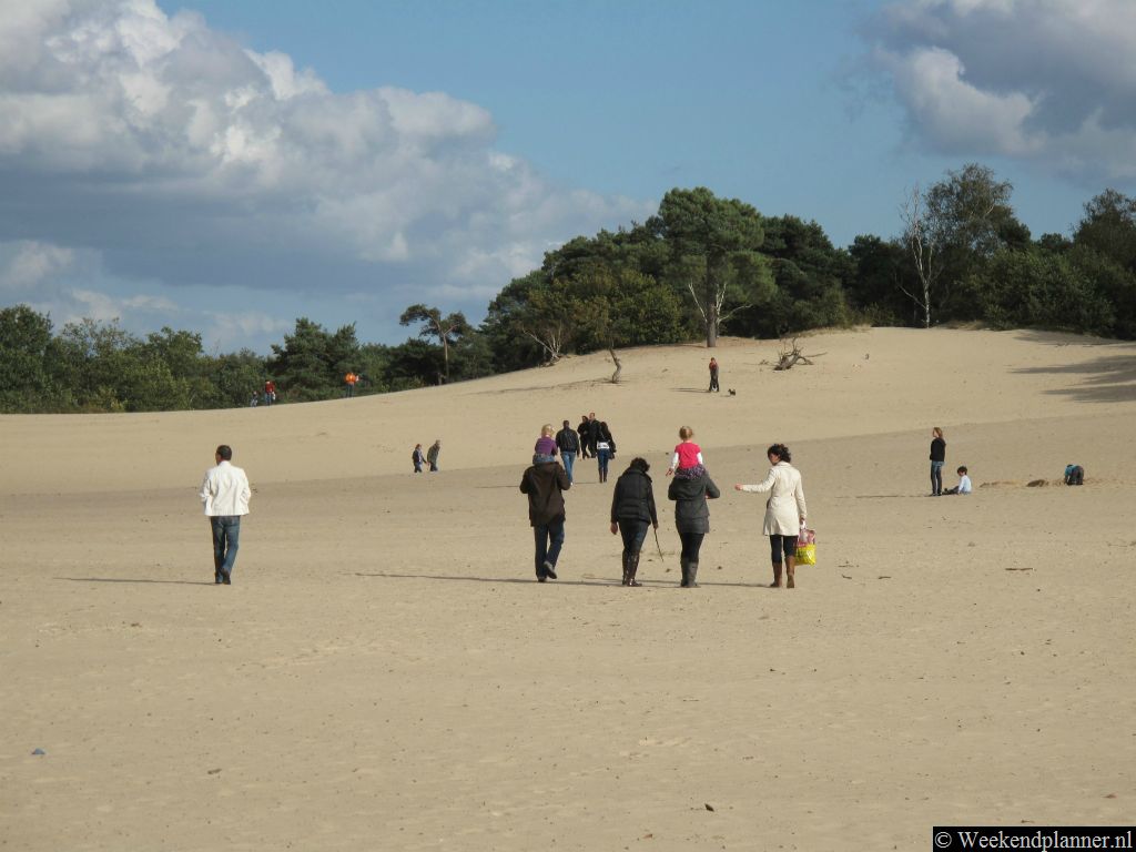 In het weekend kan het hier op de Drunense Duinen erg druk zijn met wandelaars, spelende kinderen en mensen die hun hond uitlaten. Tips: Mooie wandelroutes in de Loonse en Drunense Duinen.